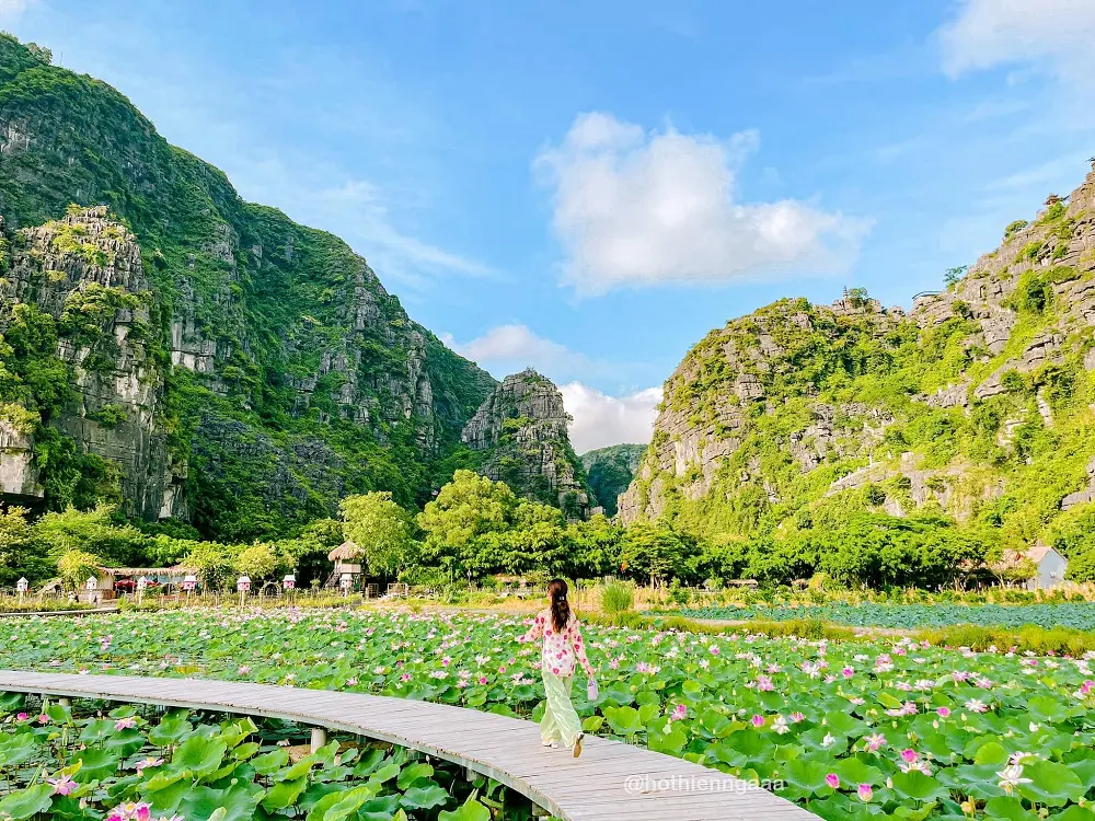 Kh&aacute;m ph&aacute; Đầm sen Hang M&uacute;a Ninh B&igrave;nh đẹp qu&ecirc;n lối về c&ugrave;ng Hồ Thi&ecirc;n Nga 7