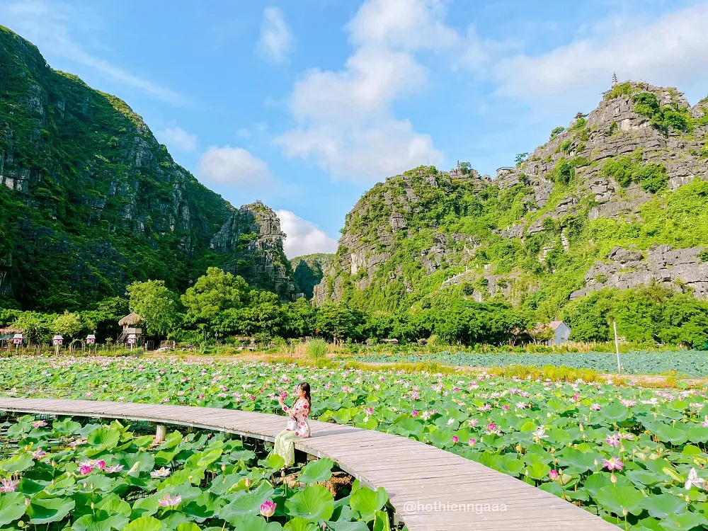 Kh&aacute;m ph&aacute; Đầm sen Hang M&uacute;a Ninh B&igrave;nh đẹp qu&ecirc;n lối về c&ugrave;ng Hồ Thi&ecirc;n Nga 2