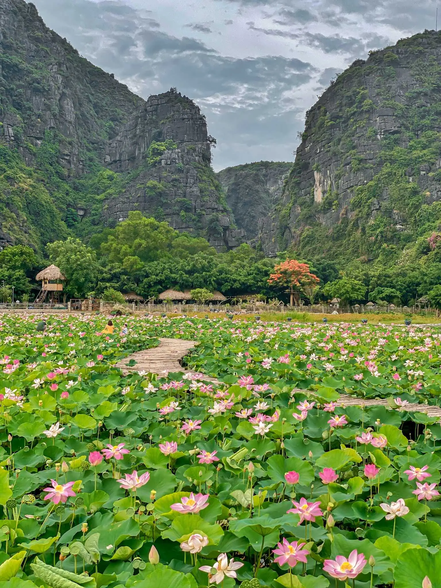 Kh&aacute;m ph&aacute; Ninh B&igrave;nh trong 24H c&ugrave;ng travel blogger Mạnh Tiến Kh&ocirc;i 5