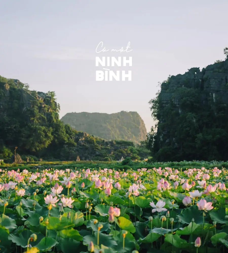 Lang thang Ninh B&igrave;nh qua những điểm đến b&igrave;nh y&ecirc;n 2