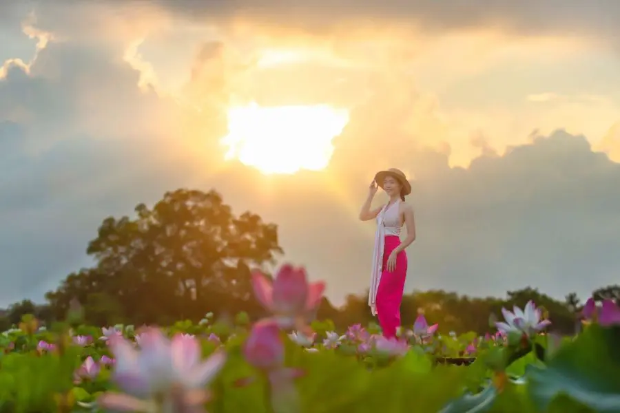 Ninh B&igrave;nh m&ugrave;a sen đẹp ng&acirc;y ngất như một bức tranh đầy n&eacute;t chấm ph&aacute; 5