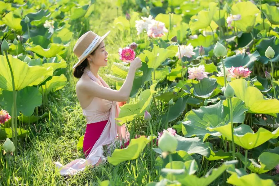 Ninh B&igrave;nh m&ugrave;a sen đẹp ng&acirc;y ngất như một bức tranh đầy n&eacute;t chấm ph&aacute; 10