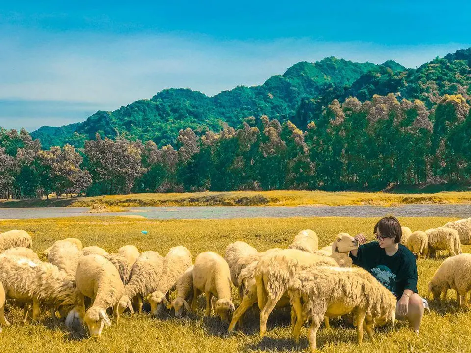 Review Ninh B&igrave;nh 1 ng&agrave;y đi từ Th&aacute;i B&igrave;nh với chi ph&iacute; cực sinh vi&ecirc;n 5