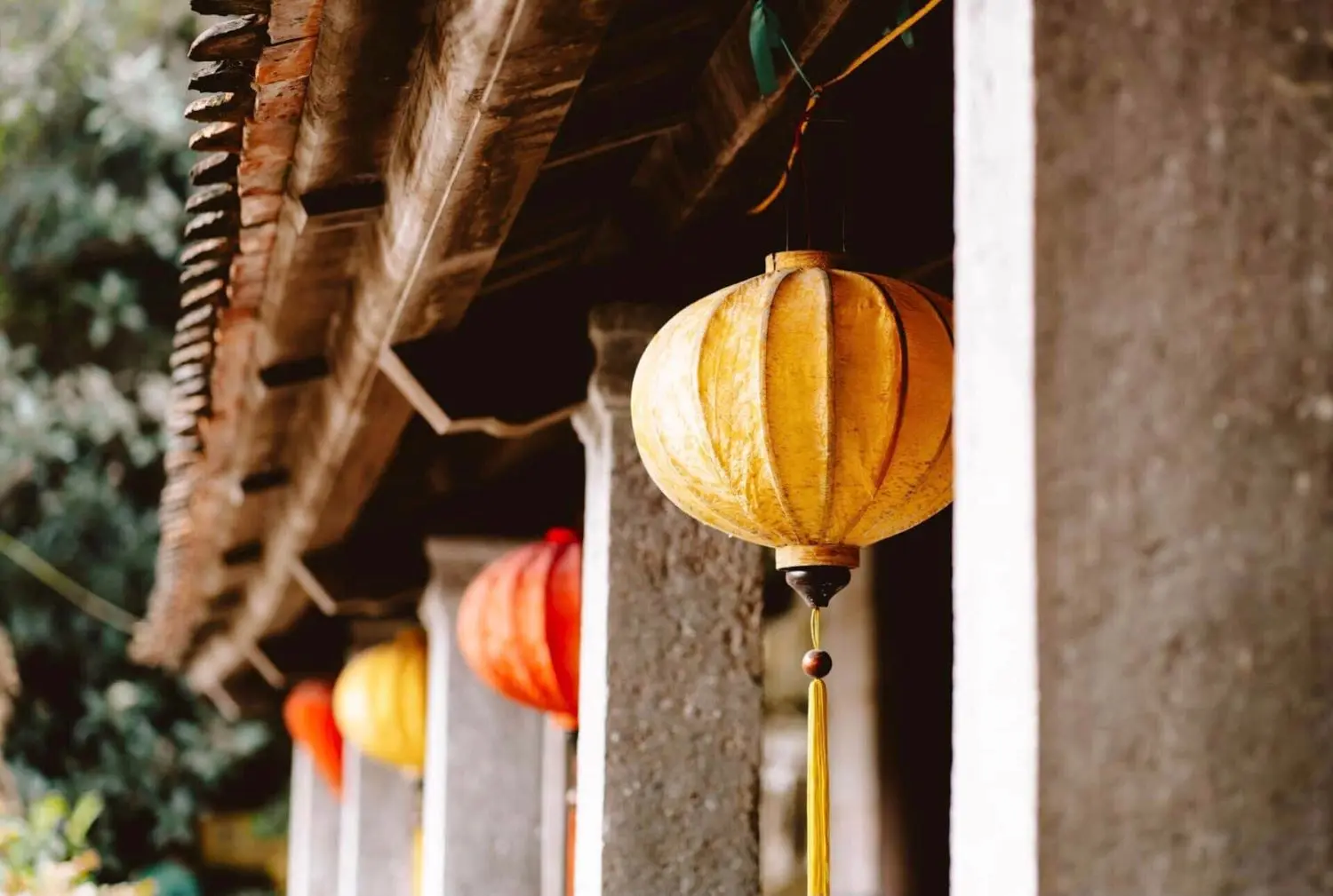 Review Tam Cốc, bức tranh hoang sơ m&ugrave;a l&uacute;a trổ đ&ograve;ng 6