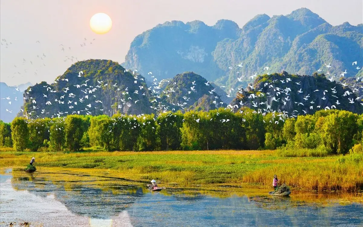 Review Thung Nham - Vương quốc của c&aacute;c lo&agrave;i chim ở Tr&agrave;ng An 3