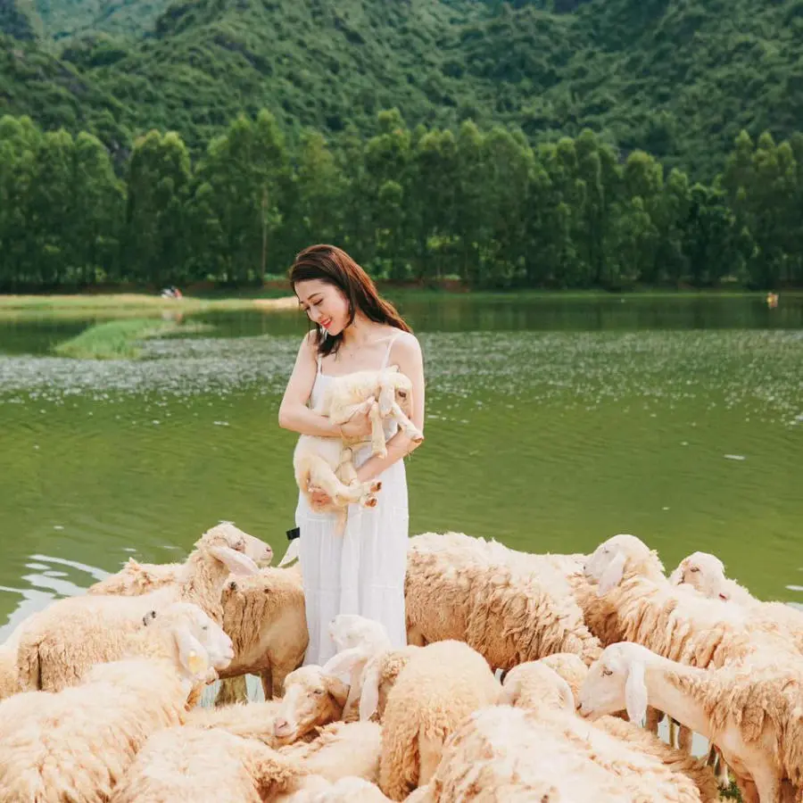 Sống ảo tại Đồi cừu Ninh Bình thơ mộng tựa như tranh vẽ 2