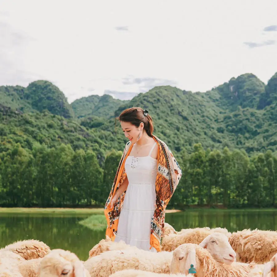 Sống ảo tại Đồi cừu Ninh Bình thơ mộng tựa như tranh vẽ 7