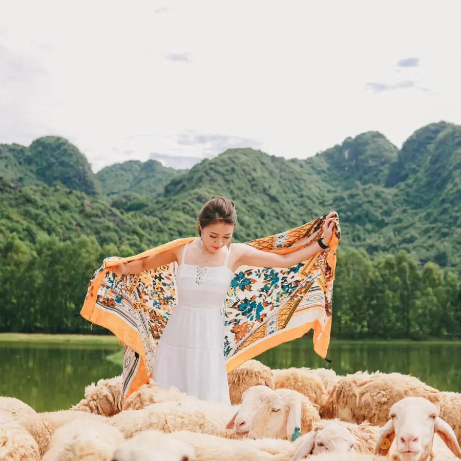 Sống ảo tại Đồi cừu Ninh Bình thơ mộng tựa như tranh vẽ 5