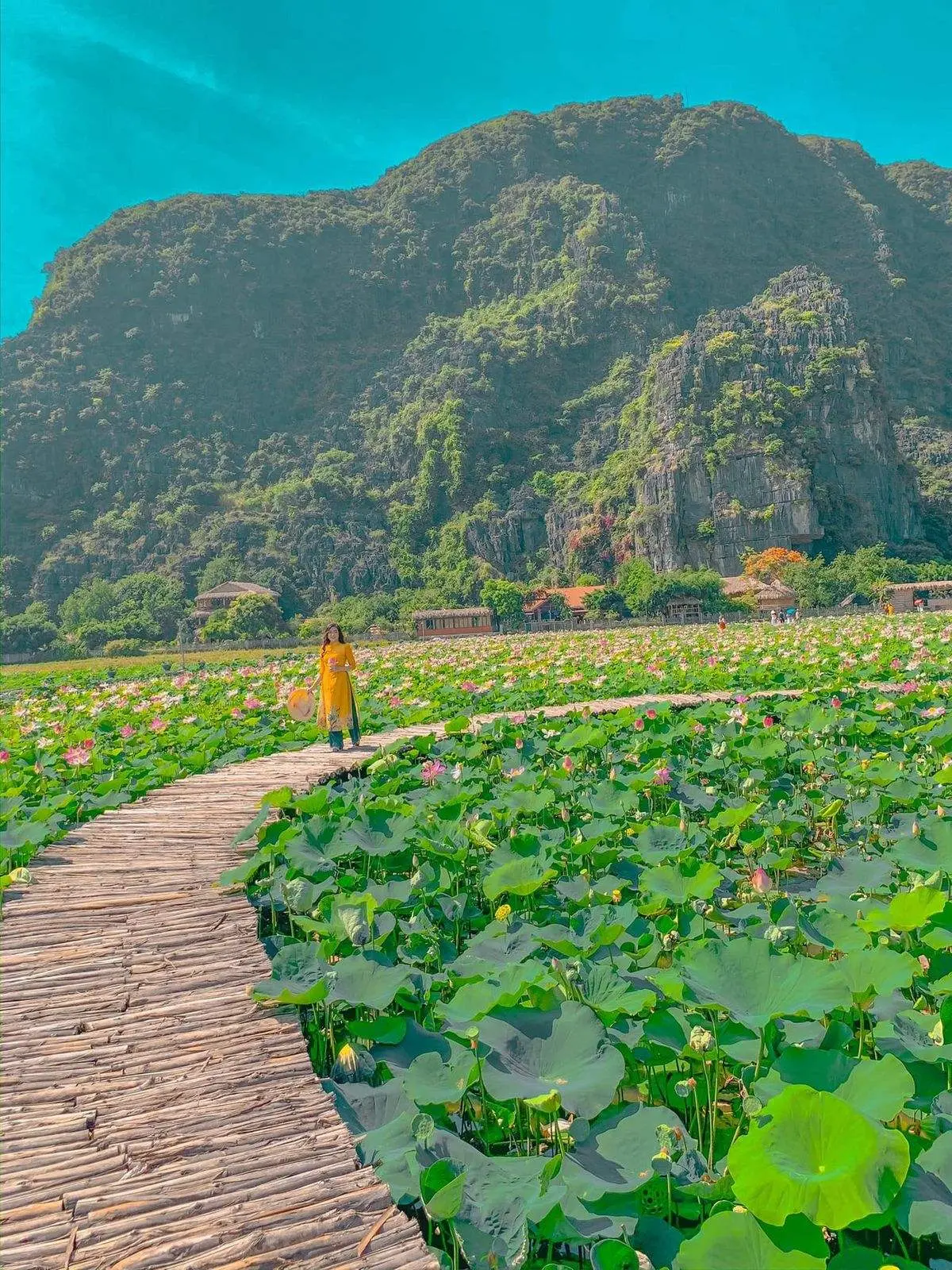 Tr&agrave;ng An một ng&agrave;y vui chơi, lưu ngay b&agrave;i viết n&agrave;y 7