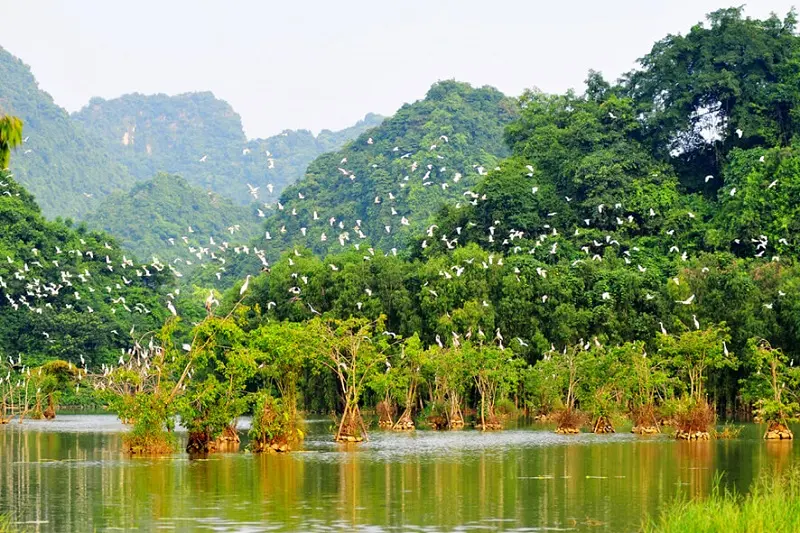 Cùng MIA.vn review Ninh Bình 3N2Đ từ Đà Nẵng chi tiết nhất