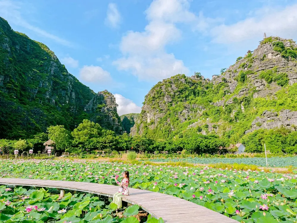 Khám phá Đầm sen Hang Múa Ninh Bình đẹp quên lối về cùng Hồ Thiên Nga