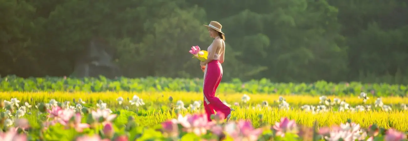 Ninh Bình mùa sen đẹp ngây ngất như một bức tranh đầy nét chấm phá