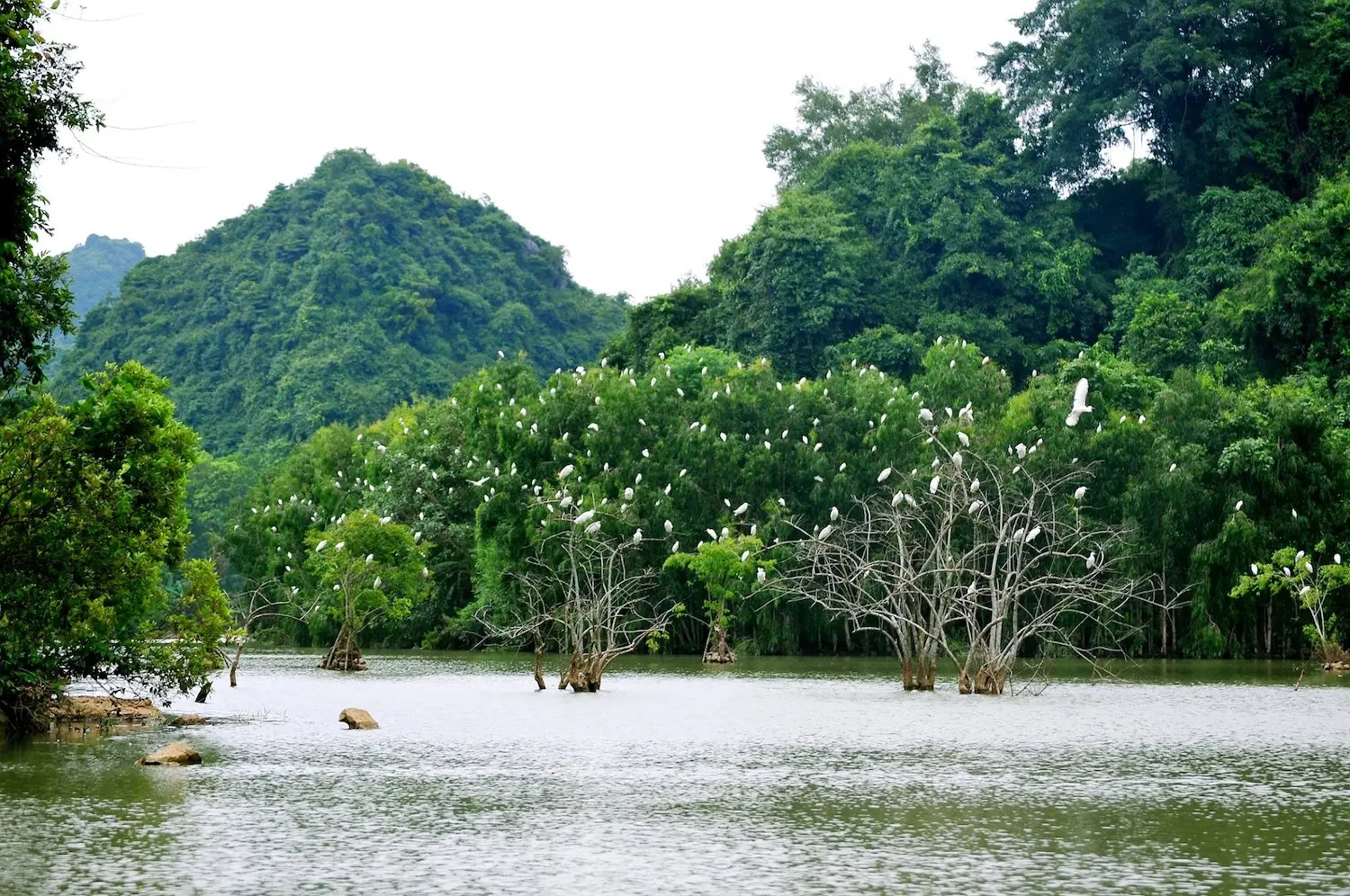 Quẩy hết nấc với lịch tr&igrave;nh du lịch Ninh B&igrave;nh 1 ng&agrave;y 7