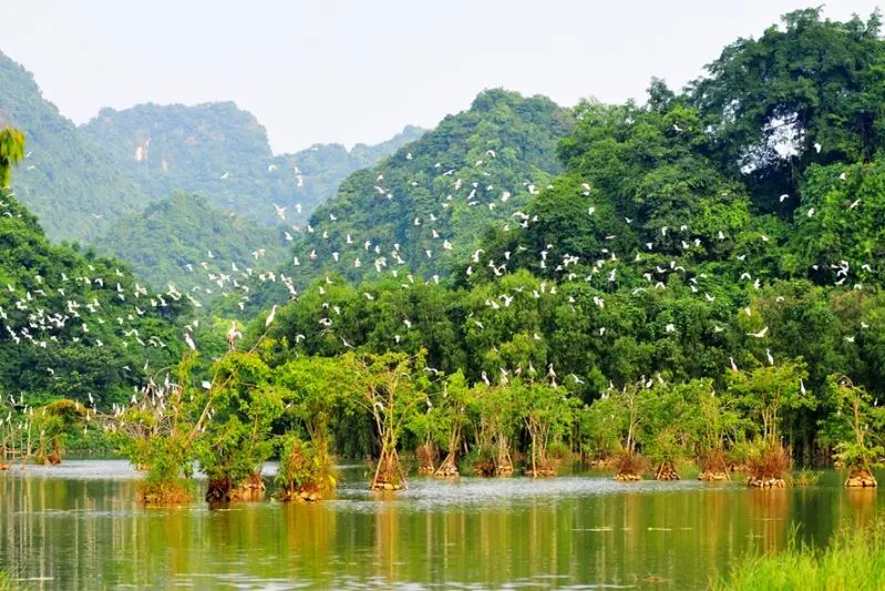 X&aacute;ch vali v&agrave; đi du lịch Ninh B&igrave;nh 4 ng&agrave;y kh&aacute;m ph&aacute; non nước Cố đ&ocirc; Hoa Lư 11