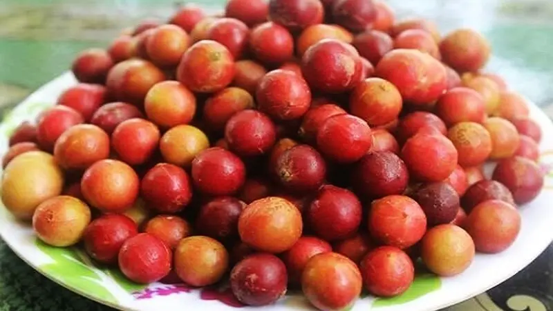 8 đặc sản Ninh Thuận với hương vị thơm ngon ngất ng&acirc;y 5