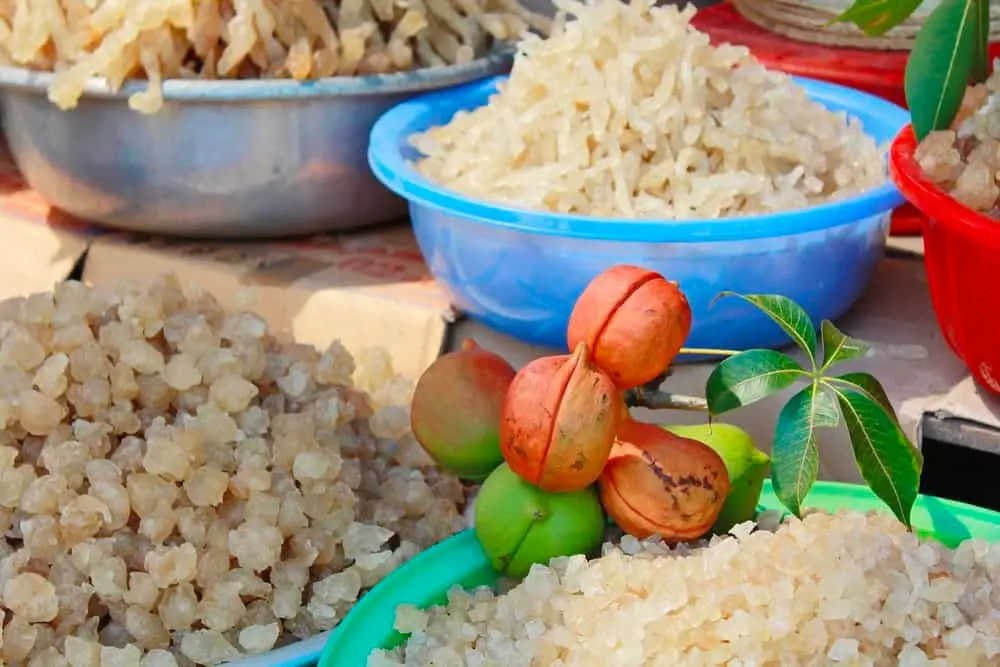 Đặc sản mủ tr&ocirc;m Ninh Thuận vừa thơm ngon lại rất tốt cho sức khỏe 7