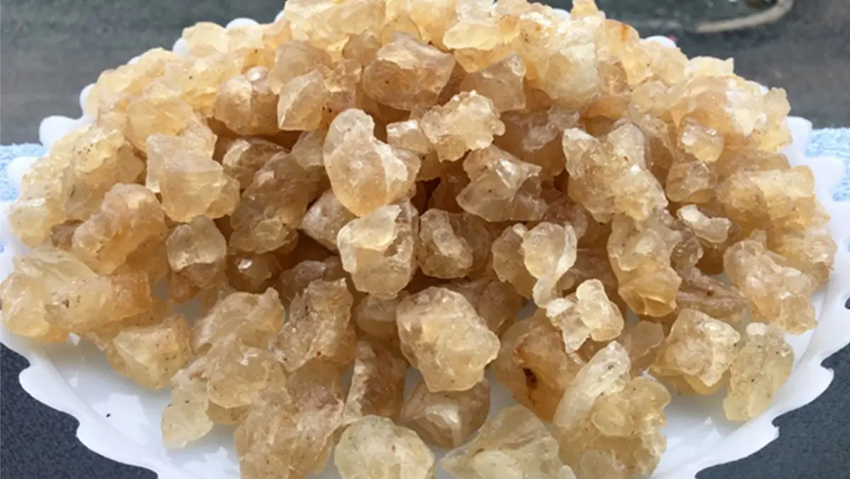 Đặc sản mủ tr&ocirc;m Ninh Thuận vừa thơm ngon lại rất tốt cho sức khỏe 2