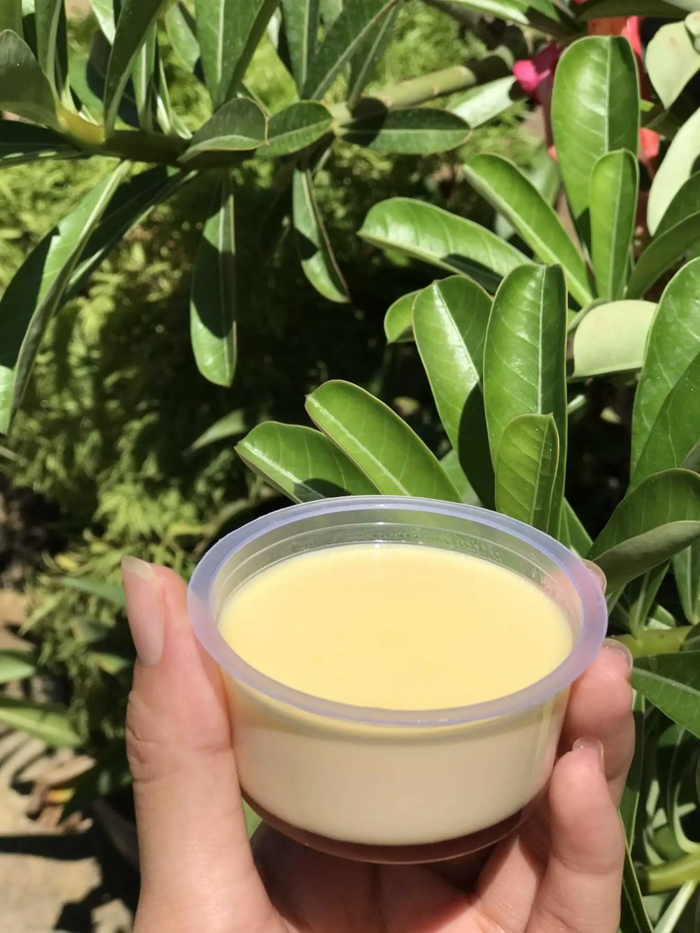 Gh&eacute; X&ocirc;i chi&ecirc;n T&ocirc; Hiệu, trở về với m&oacute;n ăn tuổi thơ 6