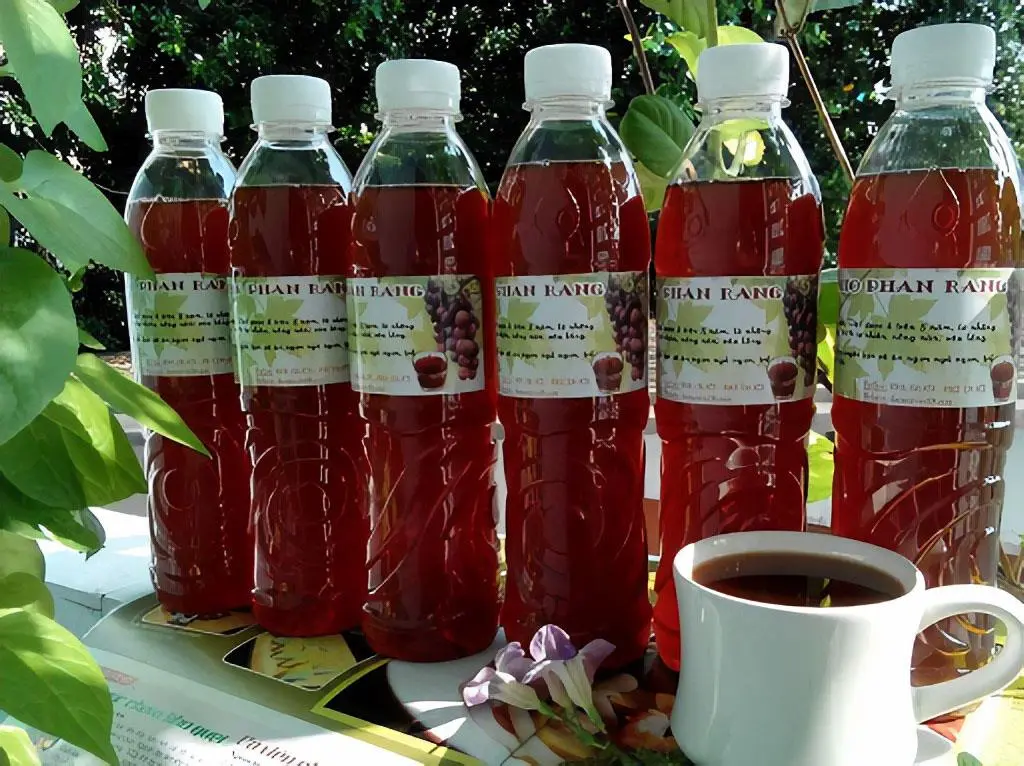Rượu nho Ninh Thuận mang trọn t&acirc;m t&igrave;nh miền đất nắng gi&oacute; 7