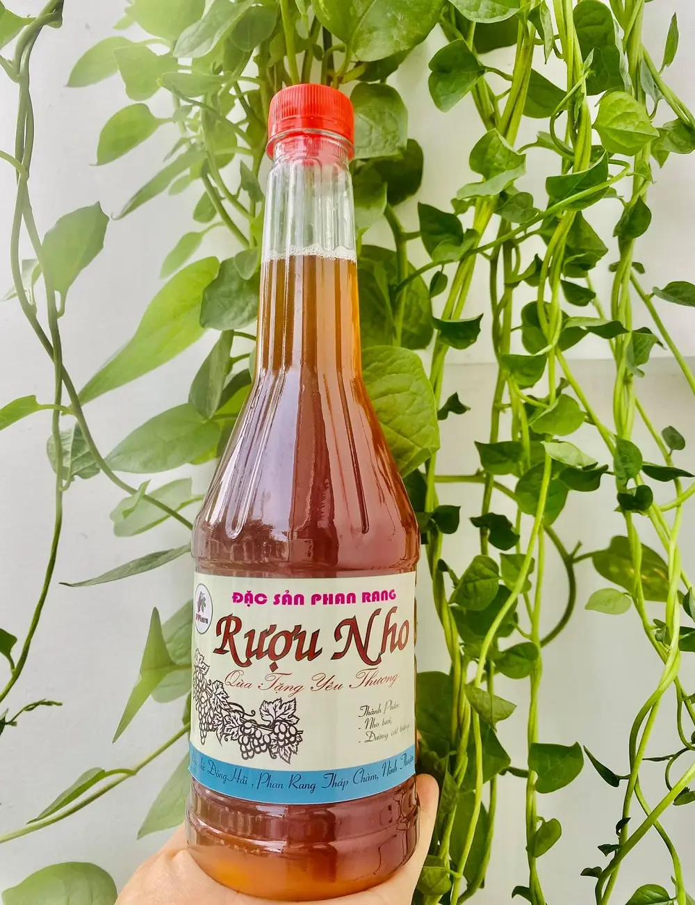 Rượu nho Ninh Thuận mang trọn t&acirc;m t&igrave;nh miền đất nắng gi&oacute; 4
