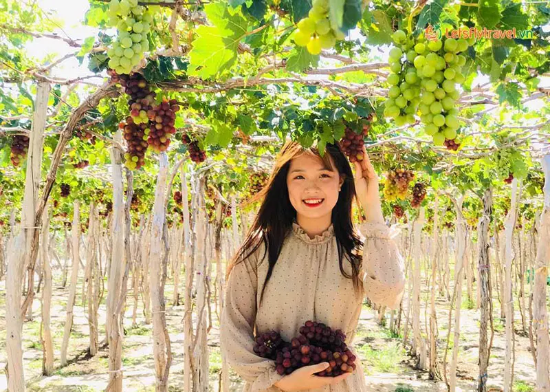 Phan Rang c&oacute; g&igrave; chơi? Bỏ t&uacute;i những trải nghiệm vui qu&ecirc;n lối về 11