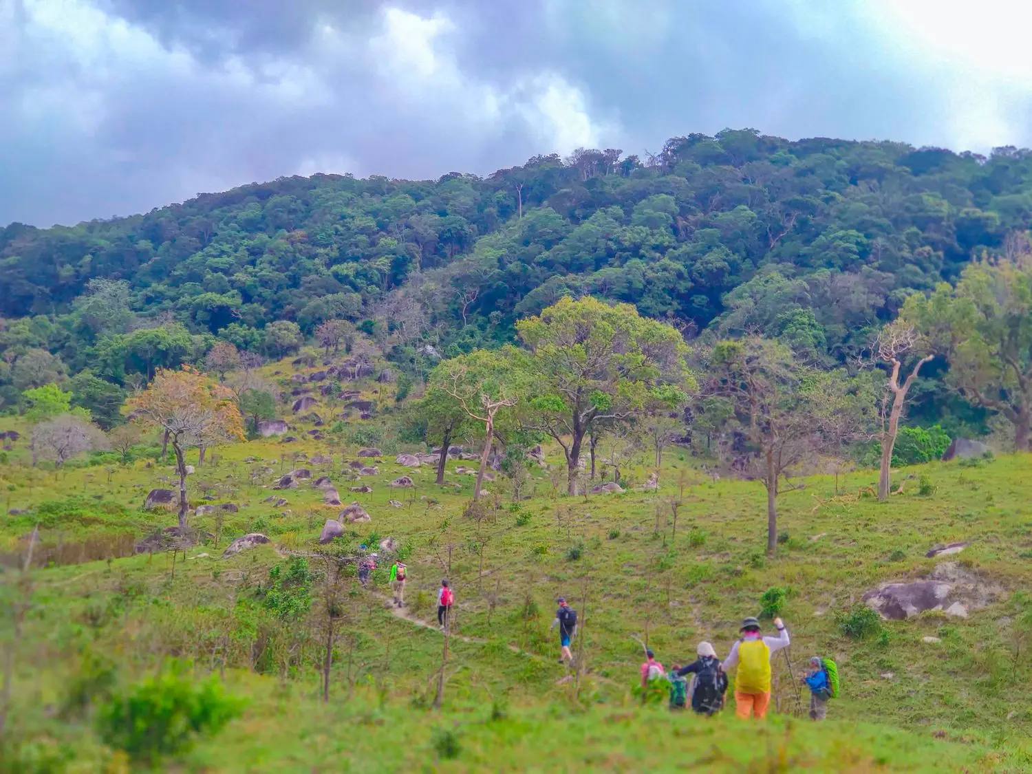 Review chuyến trekking N&uacute;i Ch&uacute;a Ninh Thuận đ&atilde; trải nghiệm một lần l&agrave; chỉ c&oacute; m&ecirc; 2