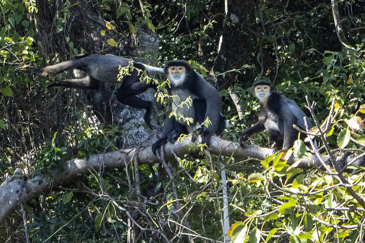 Review chuyến trekking N&uacute;i Ch&uacute;a Ninh Thuận đ&atilde; trải nghiệm một lần l&agrave; chỉ c&oacute; m&ecirc; 7