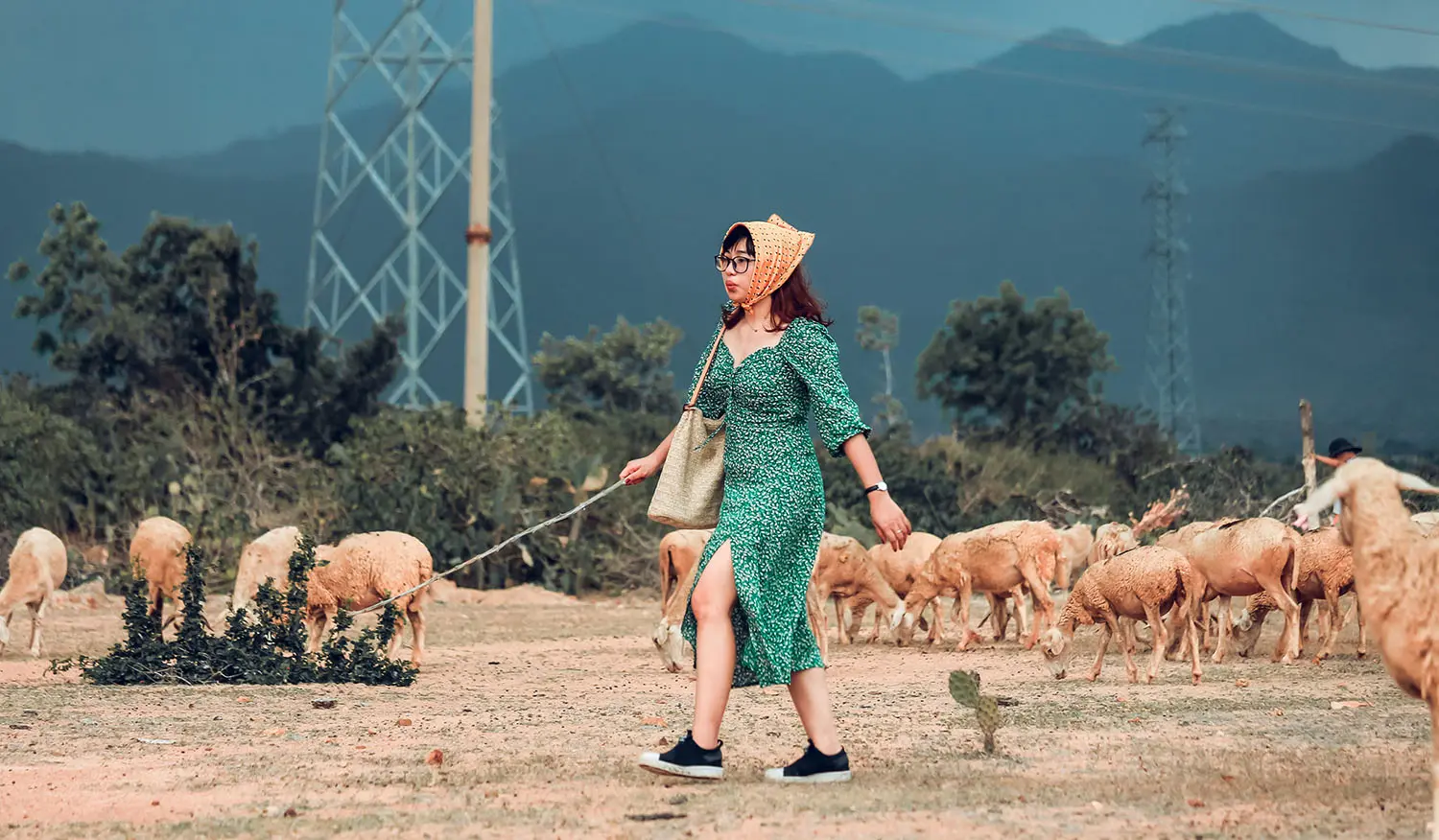 Review đồng cừu An H&ograve;a, lạc v&agrave;o cuộc sống du mục giữa thảo nguy&ecirc;n 4