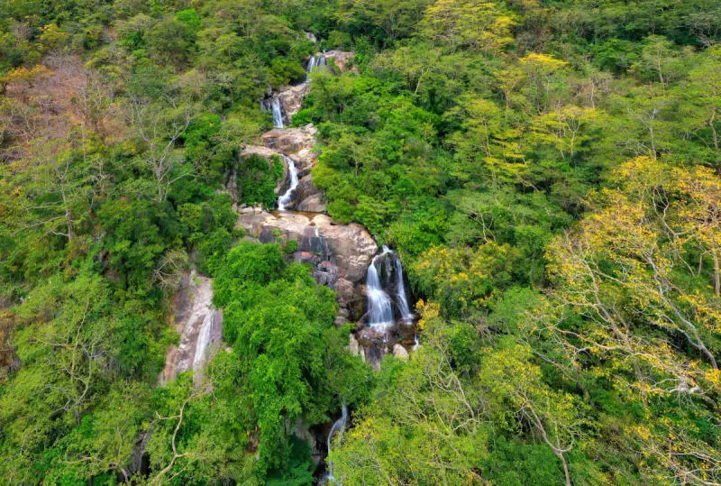 Vi vu Ninh thuận c&oacute; g&igrave; chơi c&ugrave;ng trải nghiệm đặc sắc nhất 10