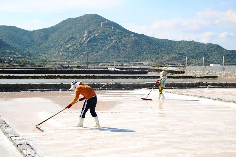 Gợi &yacute; lịch tr&igrave;nh 1 ng&agrave;y ở Ninh Thuận chi tiết nhất 4
