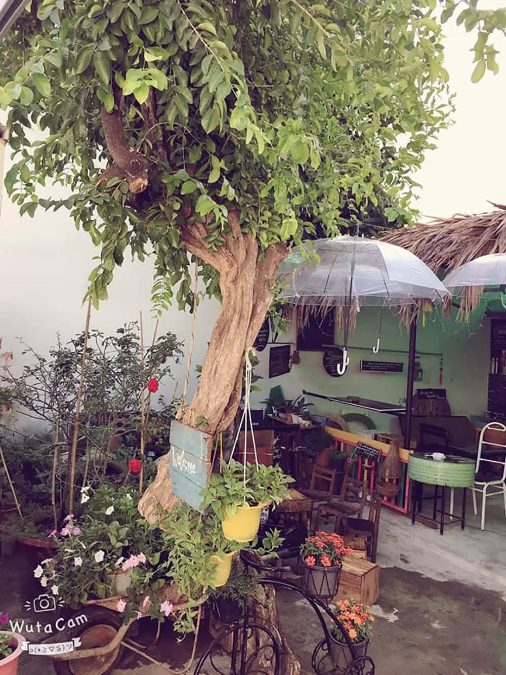 Gh&eacute; đến qu&aacute;n c&agrave; ph&ecirc; Cửa h&agrave;ng tr&aacute;i c&acirc;y Năm Ấy để t&igrave;m về miền k&iacute; ức 5