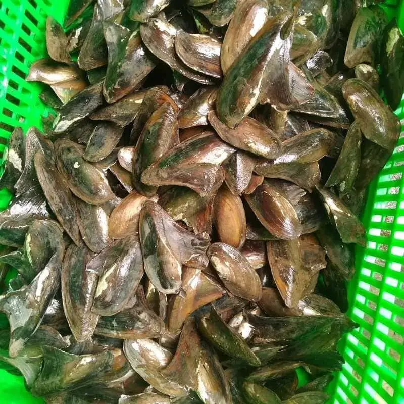 Nắng mưa t&igrave;m con chang chang, đặc sản nổi tiếng Mũi N&eacute; 3