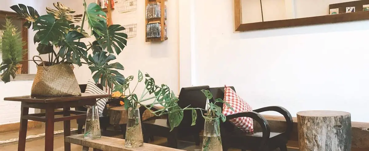 Khám phá không gian xanh mát tại A Little Thing Bistro