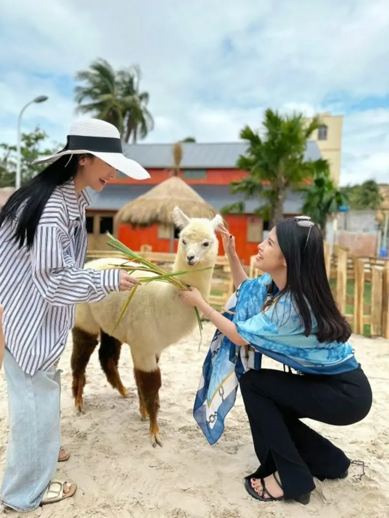 Hanna Beach Mũi N&eacute; thi&ecirc;n đường nhiệt đới b&ecirc;n bờ biển Phan Thiết 9