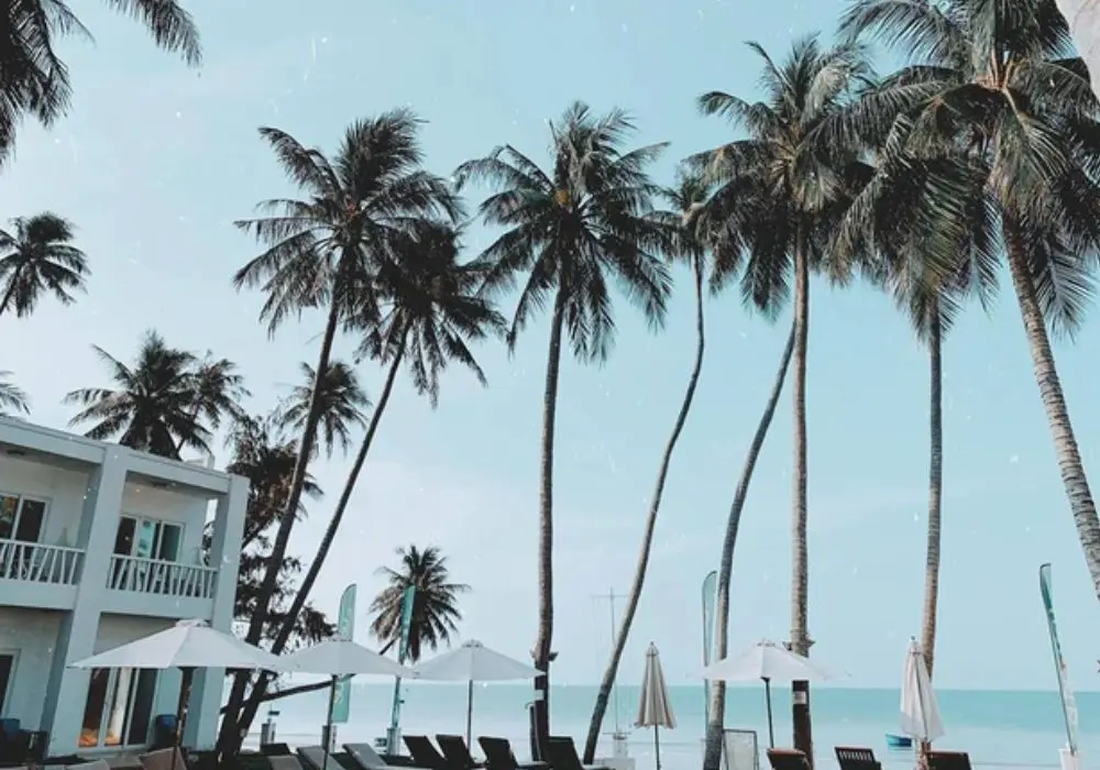 Review du lịch Phan Thiết qua góc nhìn của anh chàng Tuấn Anh 5