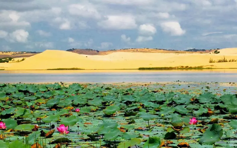 Review Phan Thiết c&oacute; g&igrave; chơi cho m&ugrave;a h&egrave; th&ecirc;m s&ocirc;i động 5