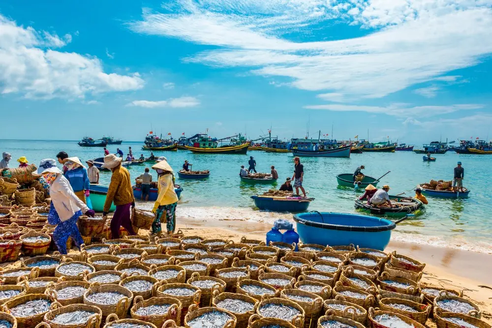 Gợi &yacute; lịch tr&igrave;nh S&agrave;i G&ograve;n - Mũi N&eacute; 2N1Đ chi tiết nhất 6