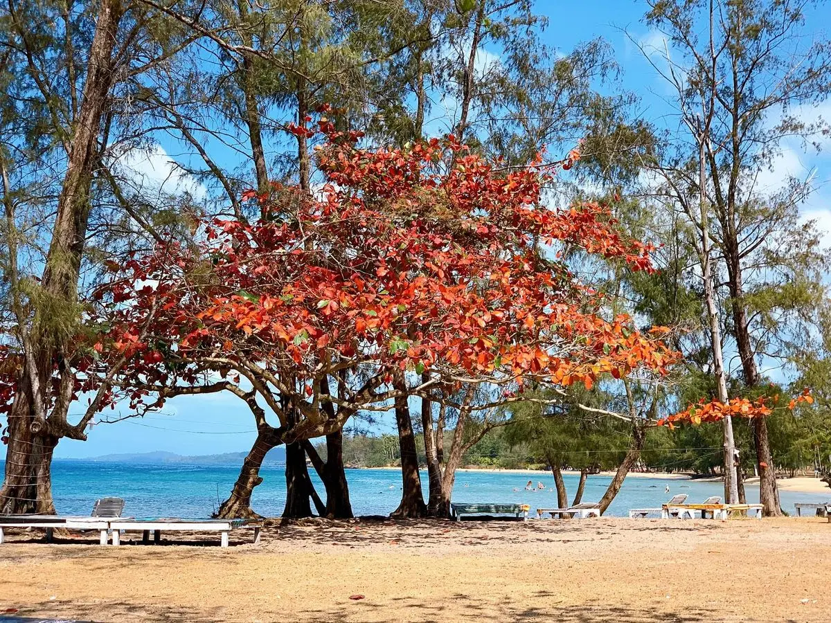 Bãi Ông Lang Phú Quốc – Maldives phiên bản Việt trên đảo Ngọc 20