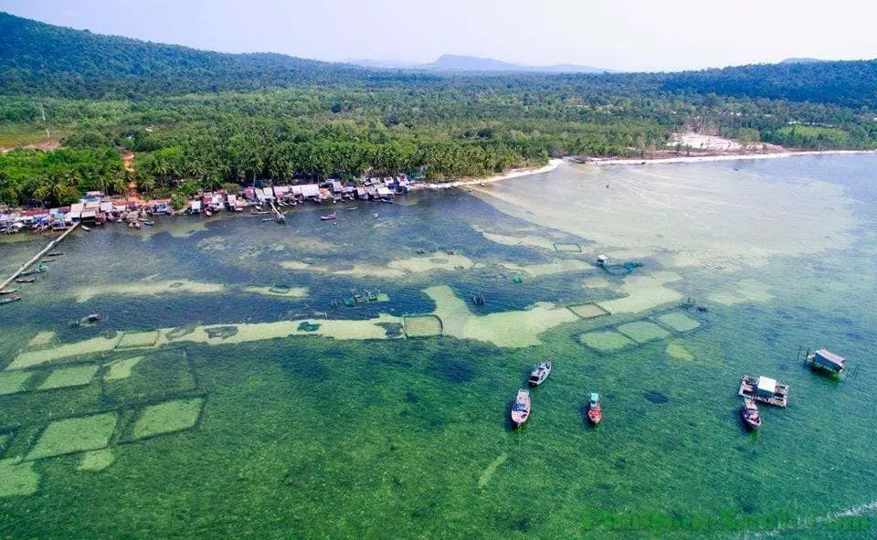 Lặn biển ngắm san h&ocirc; - Kh&aacute;m ph&aacute; vẻ đẹp ẩn m&igrave;nh của đại dương Ph&uacute; Quốc 11