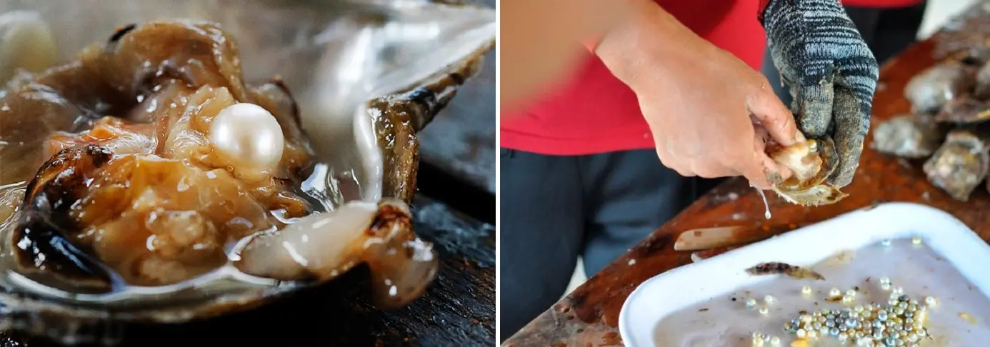 L&agrave;ng ch&agrave;i H&agrave;m Ninh &ndash; G&oacute;c nhỏ y&ecirc;n b&igrave;nh của Ph&uacute; Quốc 7