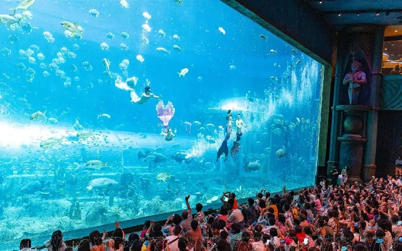 Thủy cung Ph&uacute; Quốc: Đại dương thu nhỏ giữa l&ograve;ng Vinpearl 5
