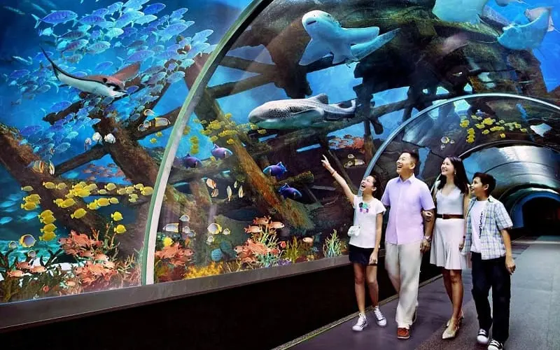 Thủy cung Ph&uacute; Quốc: Đại dương thu nhỏ giữa l&ograve;ng Vinpearl 6