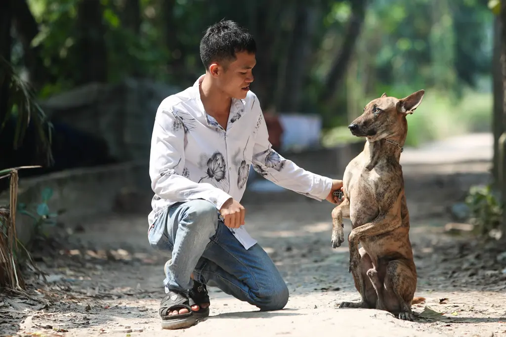 Trung t&acirc;m bảo tồn ch&oacute; xo&aacute;y Ph&uacute; Quốc &ndash; Quốc khuyển linh hồn của đảo Ngọc 5
