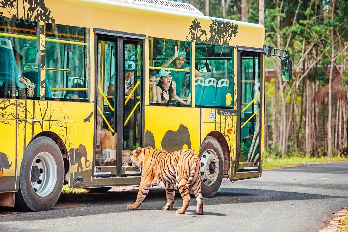 Vinpearl Safari Ph&uacute; Quốc &ndash; Review từ A-Z m&ocirc; h&igrave;nh b&aacute;n sở th&uacute; hoang d&atilde; đầu ti&ecirc;n tại Việt Nam 7