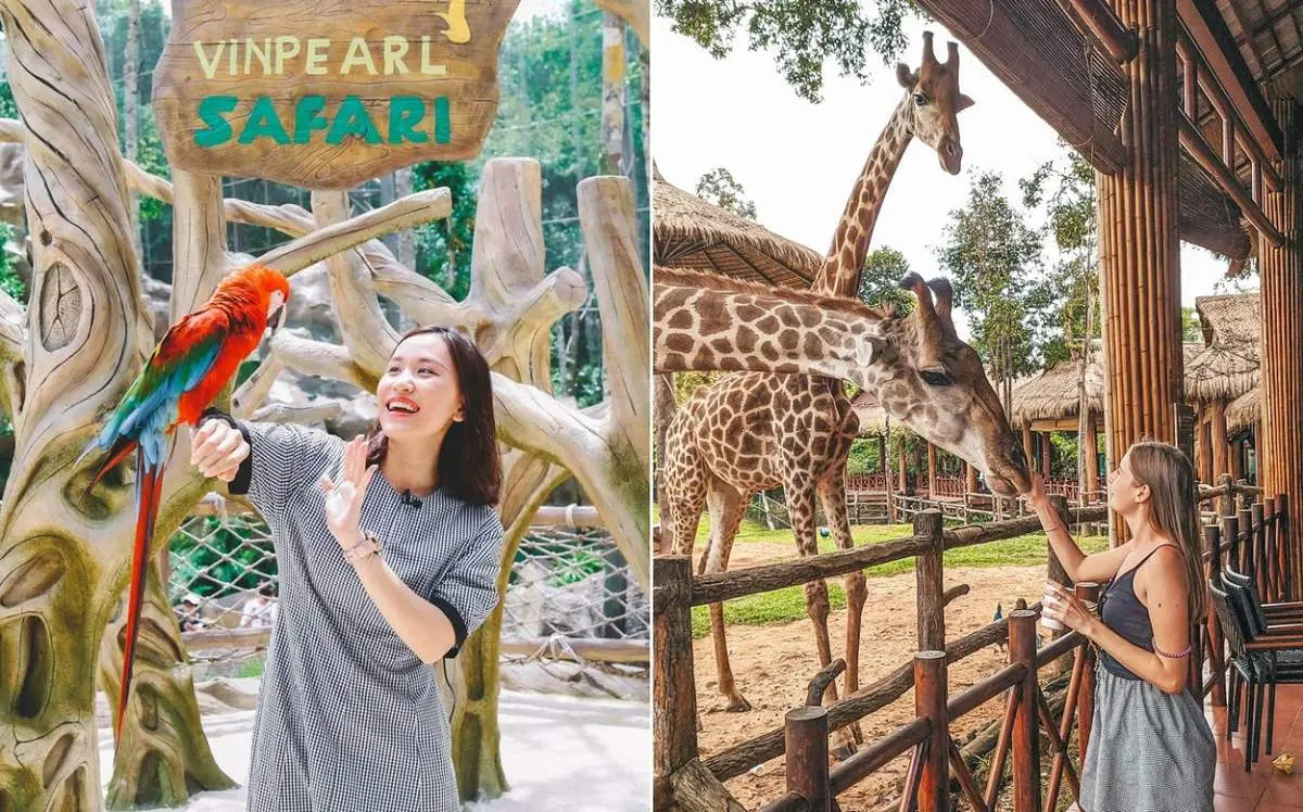 Vinpearl Safari Ph&uacute; Quốc &ndash; Review từ A-Z m&ocirc; h&igrave;nh b&aacute;n sở th&uacute; hoang d&atilde; đầu ti&ecirc;n tại Việt Nam 9