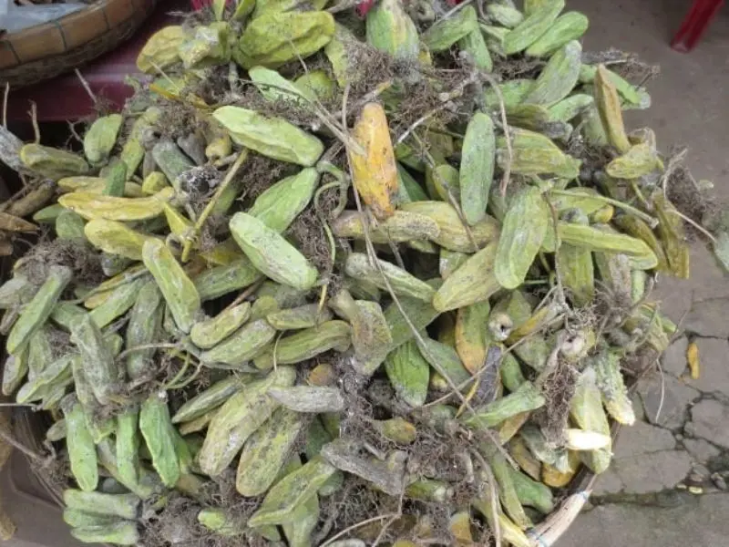 10 món đặc sản Phú Quốc ngon nức tiếng khắp đảo Ngọc 14