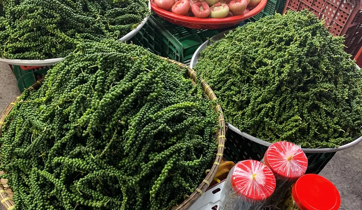 Chợ đ&ecirc;m Ph&uacute; Quốc - Thi&ecirc;n đường ăn uống chiều l&ograve;ng mọi t&iacute;n đồ ẩm thực 17