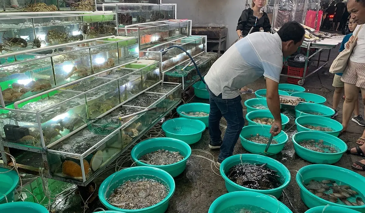 Chợ đ&ecirc;m Ph&uacute; Quốc - Thi&ecirc;n đường ăn uống chiều l&ograve;ng mọi t&iacute;n đồ ẩm thực 15