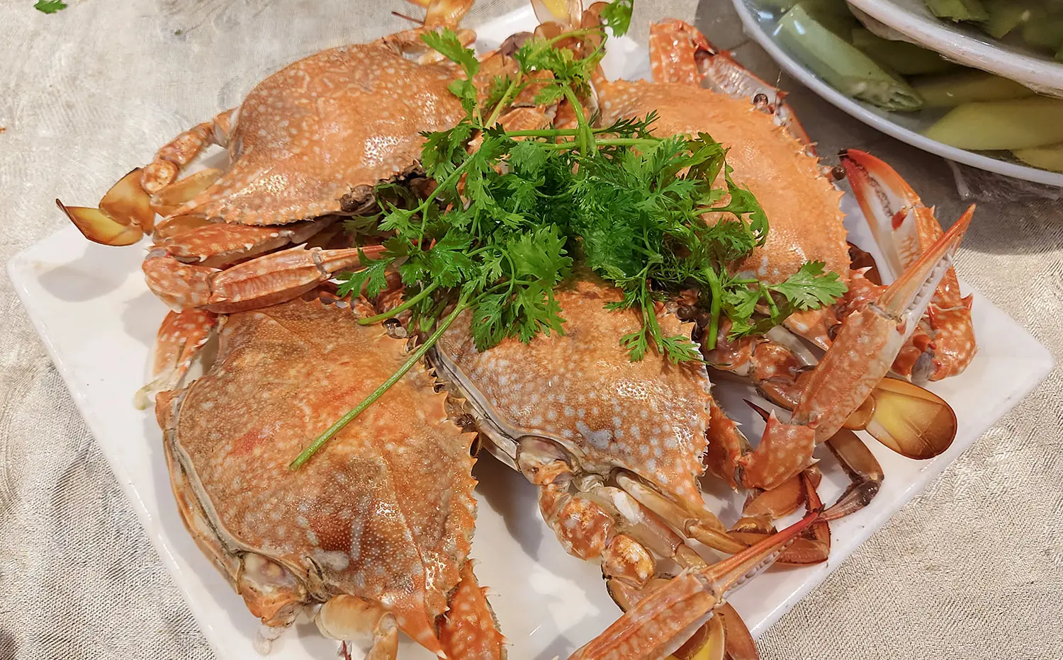 Hạnh Nhung Luxury Restaurant - Chuỗi nh&agrave; h&agrave;ng c&oacute; thiết kế đẹp v&agrave; rộng nhất Ph&uacute; Quốc 25