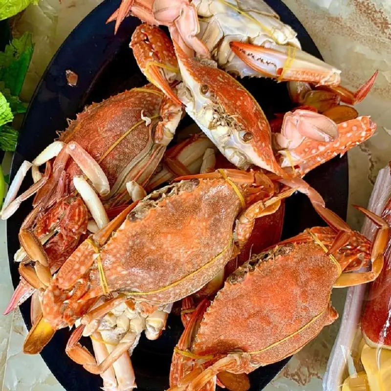 Nh&agrave; b&egrave; hải sản B&eacute; Ghẹ - Nh&agrave; h&agrave;ng hải sản b&igrave;nh d&acirc;n ở l&agrave;ng ch&agrave;i H&agrave;m Ninh 8
